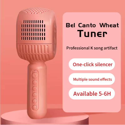 Disco - HiFi Speaker Wireless Microphone