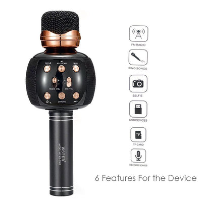 DLC - Wireless Microphone