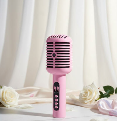 Hi - Fi Portable Karaoke Speaker with Mic
