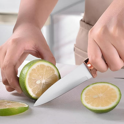 طقم سكاكين وأدوات مائدة مع حامل