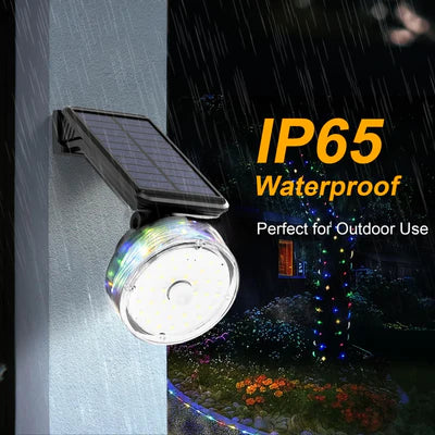 Solar Motion Sensor Induction Wall Lamp