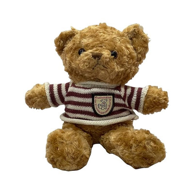 Soft T - shirt Teddy Bear (12pcs)